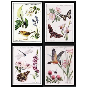 Print & Post - Natur Zigaretten Karten - 7 Seiten