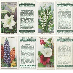 Download digital de flores do jardim britânico - Cartões de cigarro de Will - 1 a 48 Junk Journal para impressão - 8 páginas