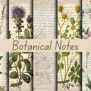 Print & Post Service - Botanische Notizen - 35 Seiten Junk Journal Kit