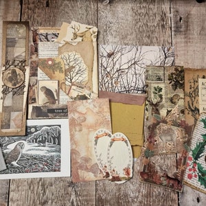 Woodland - Natureza - Junk Journal Ephemera e Enfeites (mais de 20 peças)