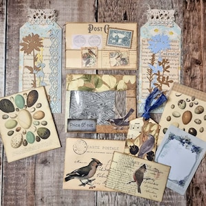 Junk Journal - Blue Bird /Floral Ephemera - 10 piece set (F)