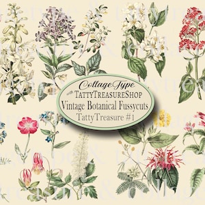 A4 Vintage Botanical Fussy Cuts - Kit imprimible de diario basura, flores silvestres, florales, botánicas, colaboración digital con tipo collage