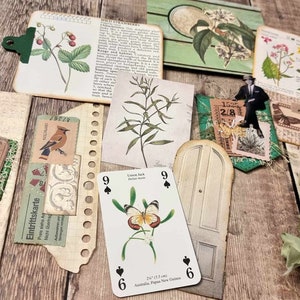 Junk Journal -Botanical Ephemera - 10 piece set (g)