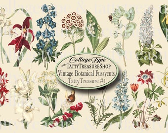 Print & Post Service - Vintage Botanical Fussy Cuts - 23 Full Pages