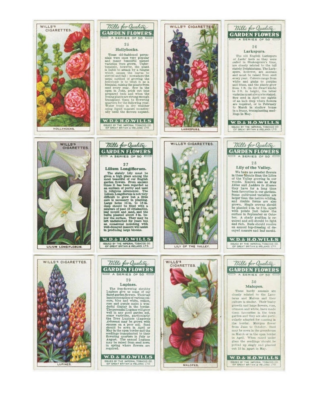 Rwp Card British Garden Flowers Digital Download - Will's Cigarette Cards - 1 to ...