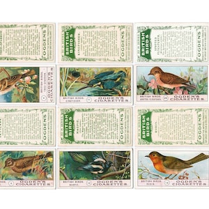 British Birds Digital Download - Cigarette Cards - Junk Journal Printable - 7 Pages
