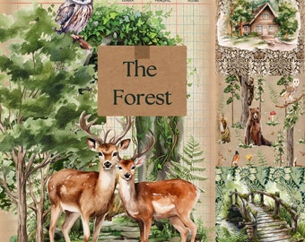 May include: A watercolor illustration of a forest scene with two deer, an owl, a bear, and a cabin. The text "The Forest" is written on a brown paper tag.
