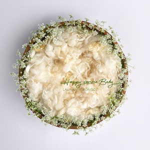 Newborn Digital Background newborn Digital Backdrop white Floral Newborn Backdrop