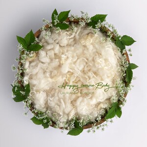Newborn Digital Background newborn Digital Backdrop white floral and leaves bowl Newborn Backdrop