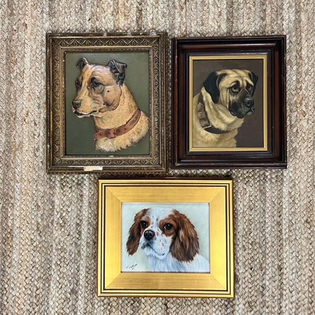 Framed Vintage and Antique Dog Art Traditional Decor Etsy