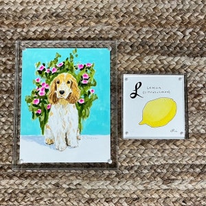Framed Original Gouache Chinoiserie Spaniel or Lemon in Acrylic Frame - Traditional Decor - Preppy Eclectic Decor- Grandmillenial Style