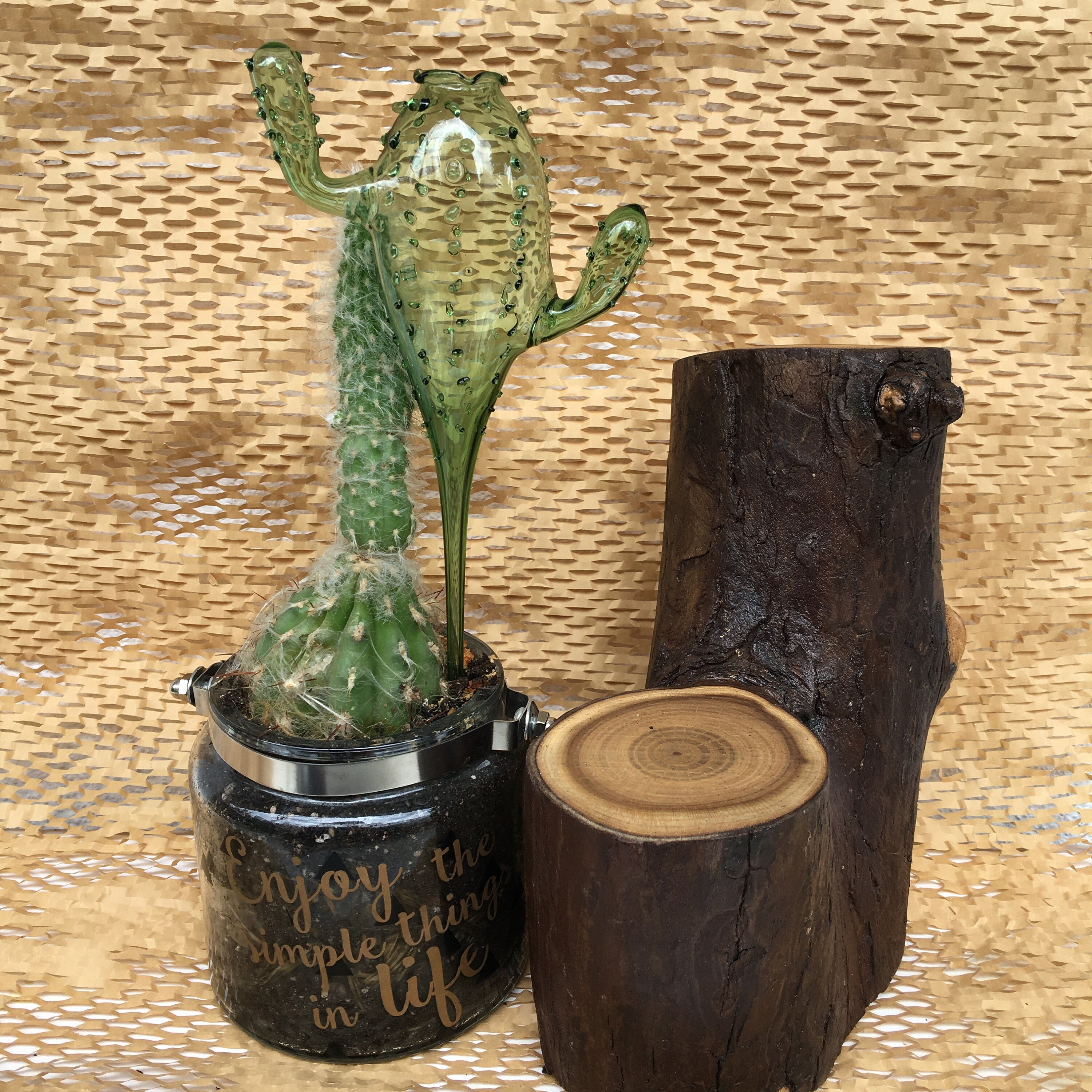 Cactus Self Watering Plant Hand Blown Glass Decorative Watering Kit