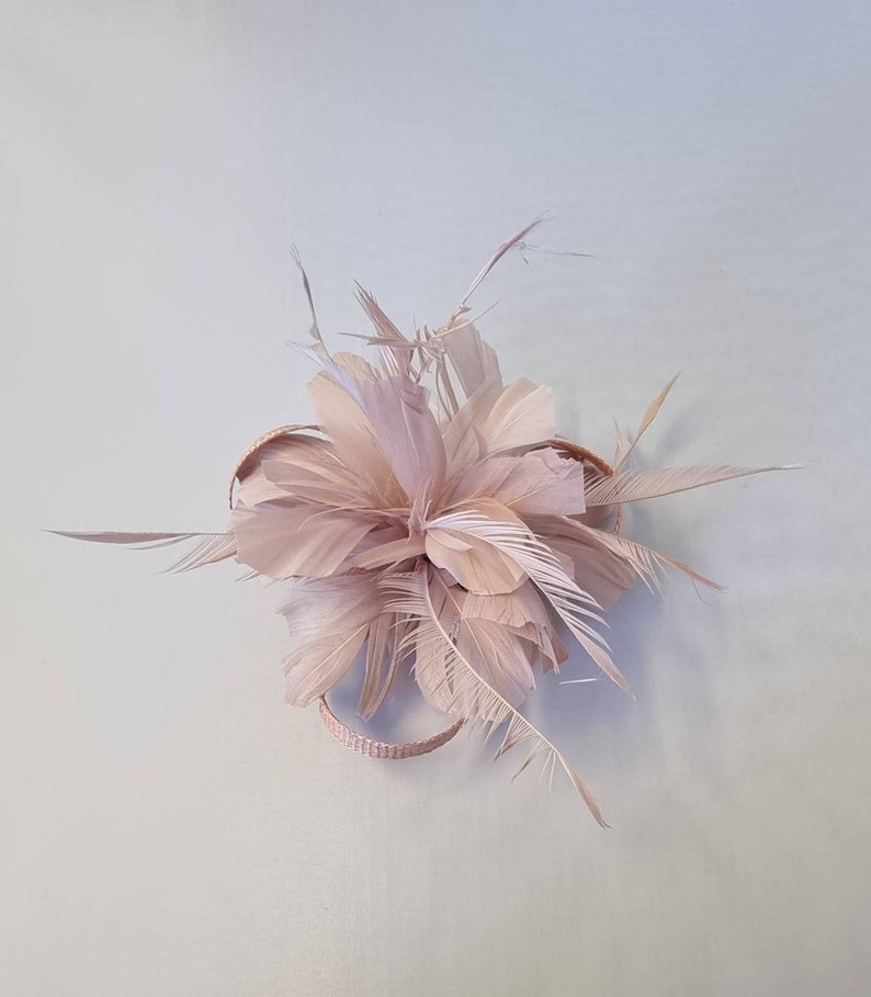 New Blush Pink,Pale Pink Colour Flower Hatinator with Clip Weddings Races, Ascot, Kentucky Derby, Melbourne Cup Small Size image 1