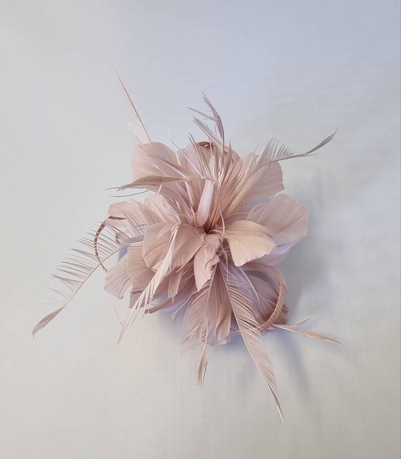 New Blush Pink,Pale Pink Colour Flower Hatinator with Clip Weddings Races, Ascot, Kentucky Derby, Melbourne Cup Small Size image 2