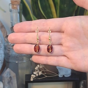 May include: A pair of gold dangle earrings with brown glass coffee bean shaped beads.