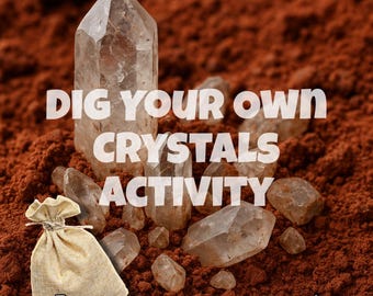 Crystal Paydirt – Arkansas Quartz Dig Kit – Real Red Clay Crystal Mining – Family Activity Gift – Dig Your Own Crystals