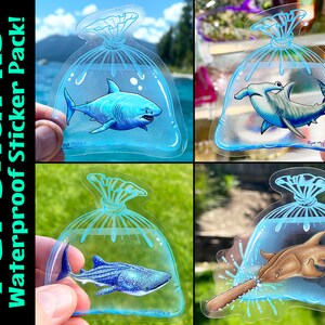 May include: Set of four waterproof stickers featuring different types of sharks in a plastic bag. The sharks are a great white, a hammerhead, a whale shark, and a sawfish. The stickers are perfect for adding a touch of whimsy to your laptop, water bottle, or other belongings.