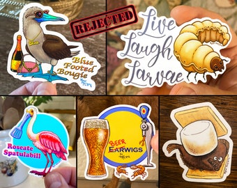 REJECTED STICKERS 5-PACK: Cheesiest Vinyl & Holographic Stickers_Blue Footed Booby_Live Laugh Love Parody_Roseata Spoonbill_S'mores Fish