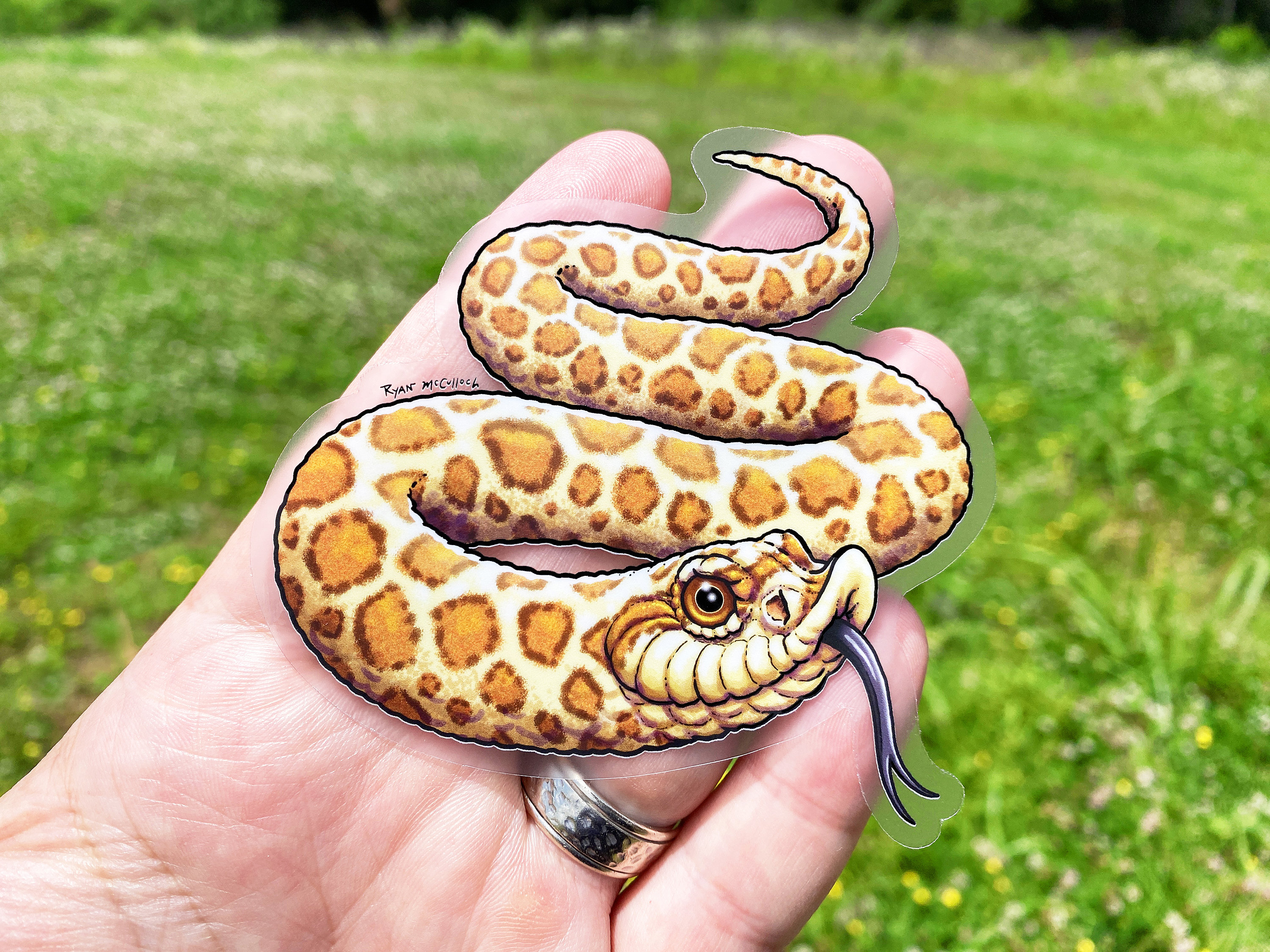 snake シール HOGNOSE SNAKE Transparent Sticker! Large Waterproof Sticker of
