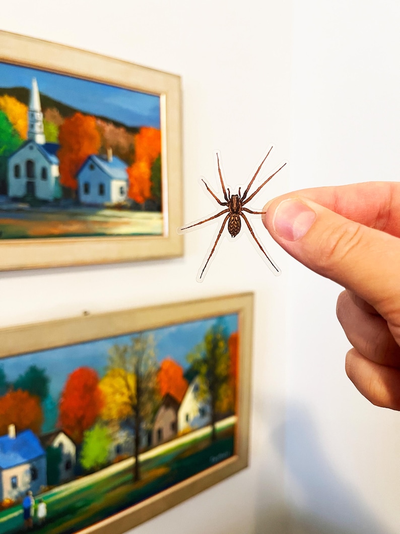 Puede incluir: Una pegatina de ara&ntilde;a marr&oacute;n con ocho patas, sostenida en una mano contra una pared blanca con dos cuadros enmarcados de paisajes oto&ntilde;ales.