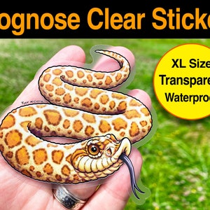 HOGNOSE SNAKE Transparent Sticker! Large Waterproof sticker of cute hognose snake with tongue sticking out. dishwasher safe! cool snakes!