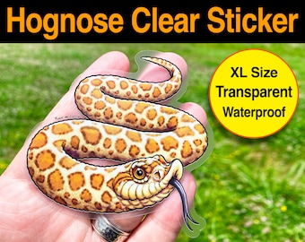 HOGNOSE SCHLANGE Transparent Sticker! Großer wasserfester Aufkleber einer niedlichen Hognasenschlange. Spülmaschinenfest! coole Schlangen!