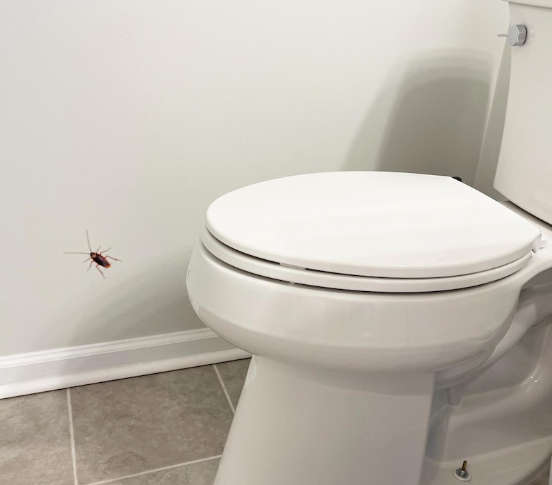 Puede incluir: Un inodoro blanco con la tapa cerrada en un ba&ntilde;o. El inodoro est&aacute; contra una pared blanca con una peque&ntilde;a cucaracha marr&oacute;n en la pared.