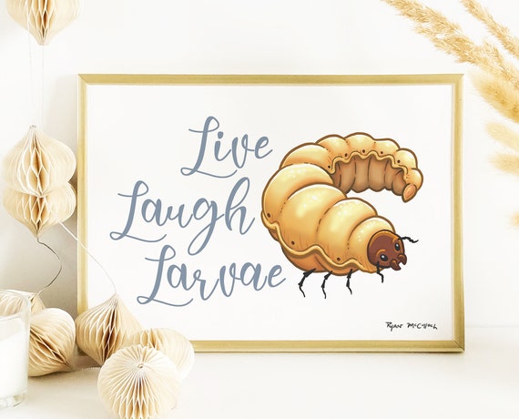 Why These Studies Tickle Us