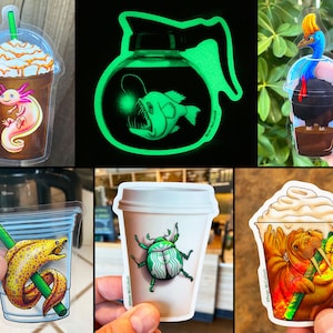 May include: Set of 10 clear vinyl stickers featuring various creatures in coffee cups. The stickers include a  axolotl, a moray eel, a beetle, a walrus, a cassowary, and a anglerfish.