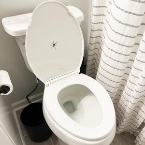 Puede incluir: Un inodoro blanco con la tapa abierta, mostrando una peque&ntilde;a ara&ntilde;a en el interior de la tapa. El inodoro est&aacute; en un ba&ntilde;o con suelo de baldosas blancas y una cortina de ducha blanca con rayas negras.