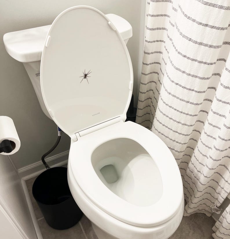 Puede incluir: Un inodoro blanco con la tapa abierta, mostrando una peque&ntilde;a ara&ntilde;a en el interior de la tapa. El inodoro est&aacute; en un ba&ntilde;o con suelo de baldosas blancas y una cortina de ducha blanca con rayas negras.