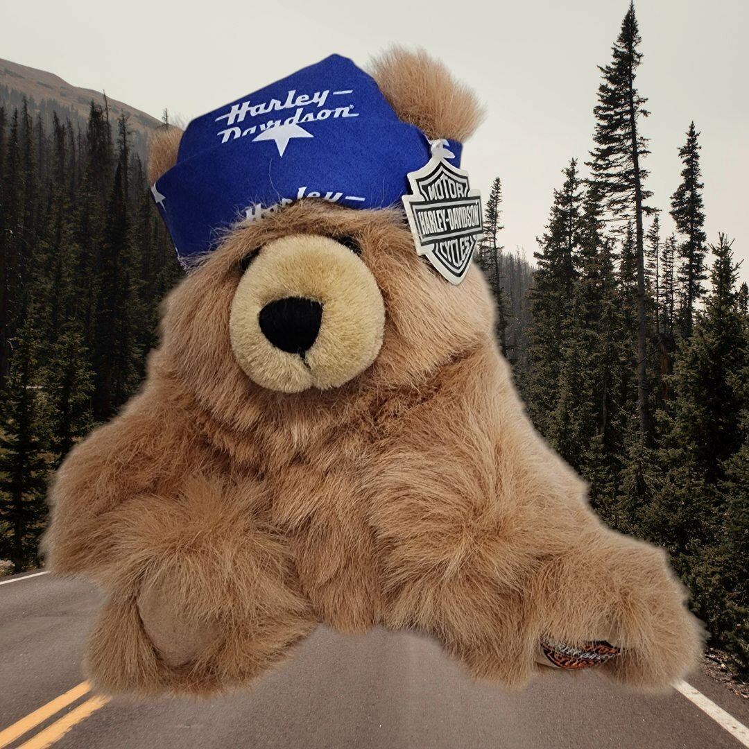 Vtg Harley Davidson Teddy Bear 9 In. Brown Cavanah Blue