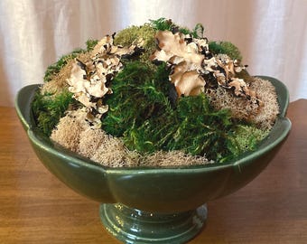 Vintage Green Hyalyn Pottery Bowl Planter with Dried Moss Arrangement