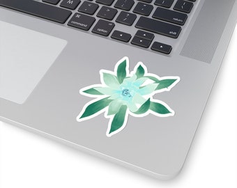 Succulent Sticker / Cactus Art / Houseplant Sticker / Plant Art / Chalk Dudleya / Plant Gifts / House Plant Laptop Sticker / Succulent Decor