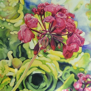 Pink Geranium, Aquarell Malerei, Giclée Druck, von Mary Kay hinson, 8&quot;x8&quot;