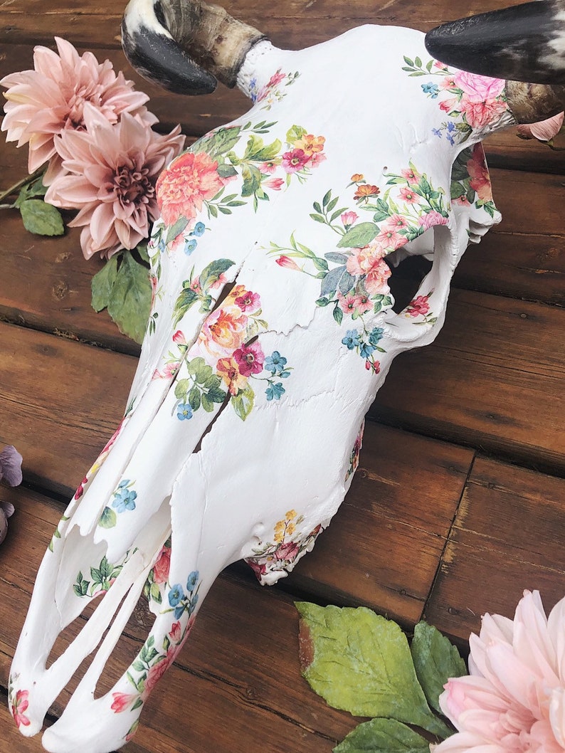 Floral Boho Style Hand Decorated Painted Real Cow Bull Skull for Rustic Country Home Decor or Wedding Decor