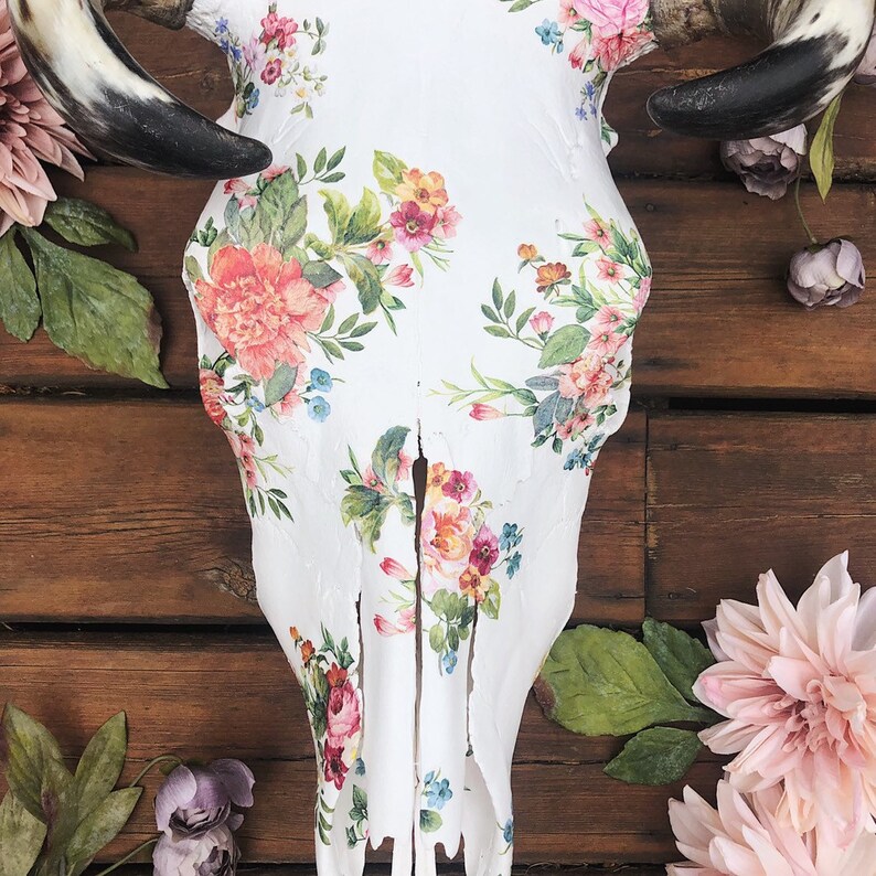 Floral Boho Style Hand Decorated Painted Real Cow Bull Skull for Rustic Country Home Decor or Wedding Decor