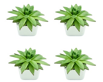 4x Square 3.5" Ceramic Pots - White Ceramic Pot - Succulent Planter - Cactus Pots - Wedding Pots - Indoor Pots - Planter - Gardening - Favor