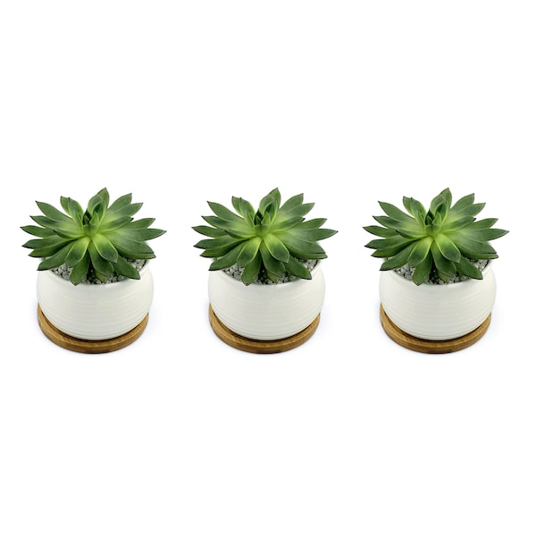 3x Round 4" Ceramic Pots with Bamboo Tray - White Ceramic Pot - Succulent Pots - Cactus Pots - Wedding Pots - Indoor Pots - Favors