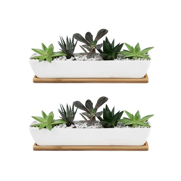 2 pots longs et étroits en céramique de 10,75 po. avec plateau en bambou - Jardinière en céramique blanche - Pots de plantes succulentes - Pots de cactus - Mariage - Pots d'intérieur - Cadeaux