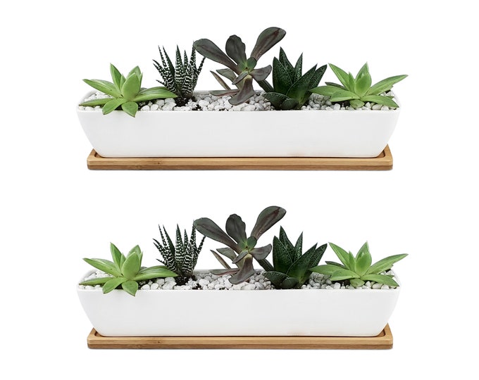 2x Long Narrow 10.75" Ceramic Pots With Bamboo Tray - White Ceramic ...