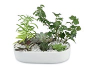 10 quot Succulent Oval Bowl Pot - Fairy Garden Container - White Ceramic Pot - Succulent Pots - Cactus Pots - Wedding Pots - Indoor Pots