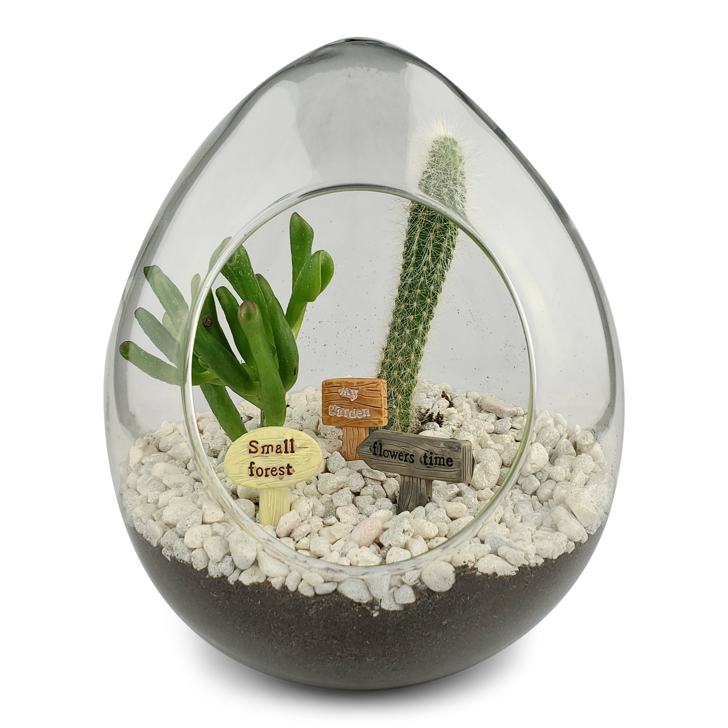 Glass Terrariums Egg Style Geometric Terrarium Fairy Etsy