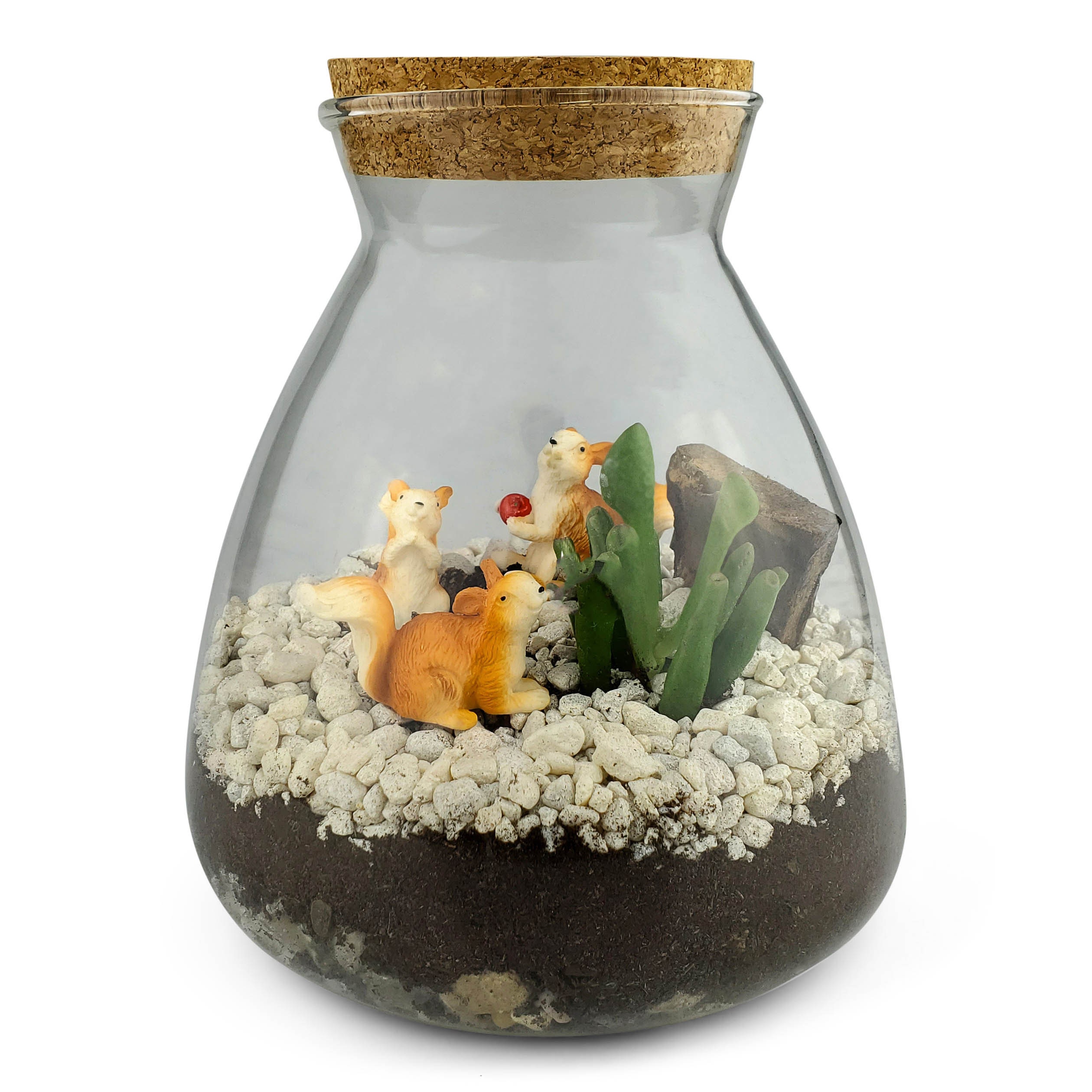 Glass Terrariums Cork Bottle Style Geometric Terrarium Etsy Canada