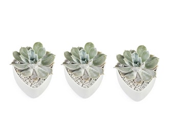 3x Driehoekige 4.25" Keramische Pot - Witte Keramische Pot - Sappige Potten - Cactus Potten - Trouwpotten - Binnen potten - Gunsten