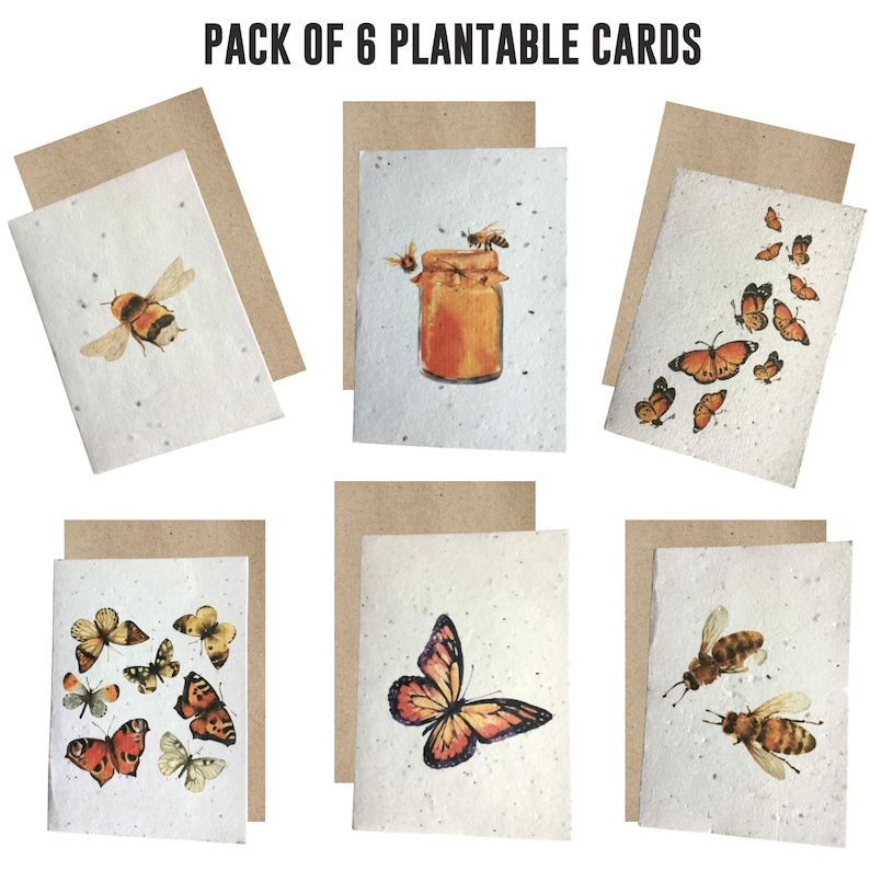 Cartes de graines plantables, carte de vœux illustrée Bee & Butterfly, cartes vierges, carte de papier de semence, cartes écologiques, paquet de cartes fait à la main image 1