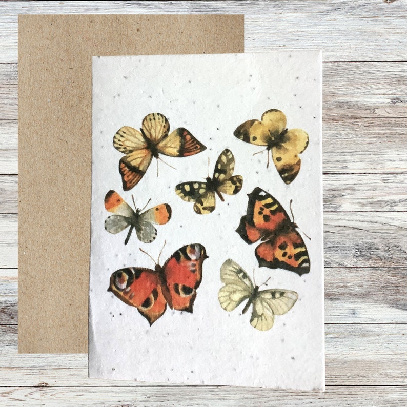 Cartes de graines plantables, carte de vœux illustrée Bee & Butterfly, cartes vierges, carte de papier de semence, cartes écologiques, paquet de cartes fait à la main image 6