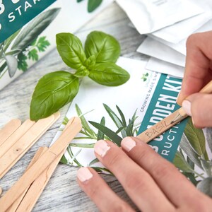 Herb Garden Kit Grow Your Own Kitchen Herbs Indoors | Etsy