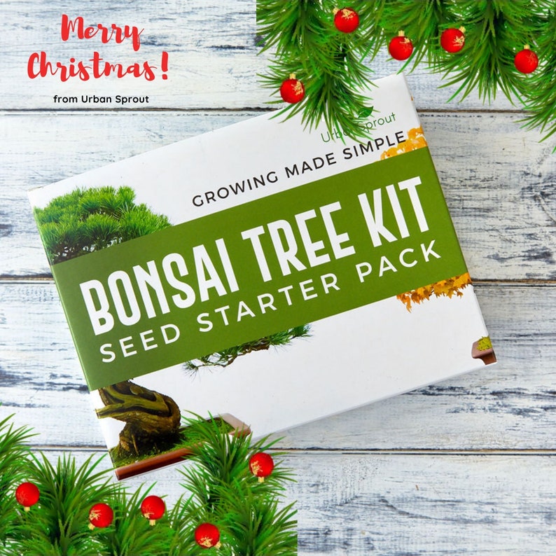 Bonsai Tree Starter Kit Grow Your Own Bonsai Trees from Seeds Etsy