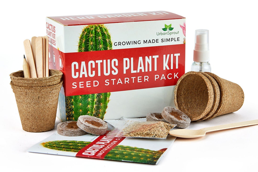 Cactus Kit - Grow Your Own Cacti Plants Indoors -gardening Gift - Etsy UK